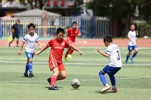 苏宁,年门票即将,开售,问鼎娱乐,问鼎娱乐平台,问鼎娱乐官网