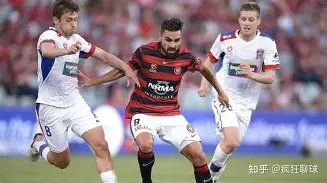 金莎随母姓,引争议,张绍刚直言,问鼎娱乐,问鼎娱乐平台,问鼎娱乐官网