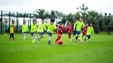 问鼎娱乐 产品 130051 jso