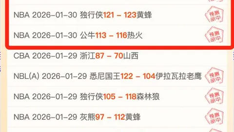 太阳多点开花仍告负，灰熊关键时锁定胜利