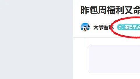 罗塞尼尔挑战英超魔咒：英格兰教练对许尔策勒未尝胜绩